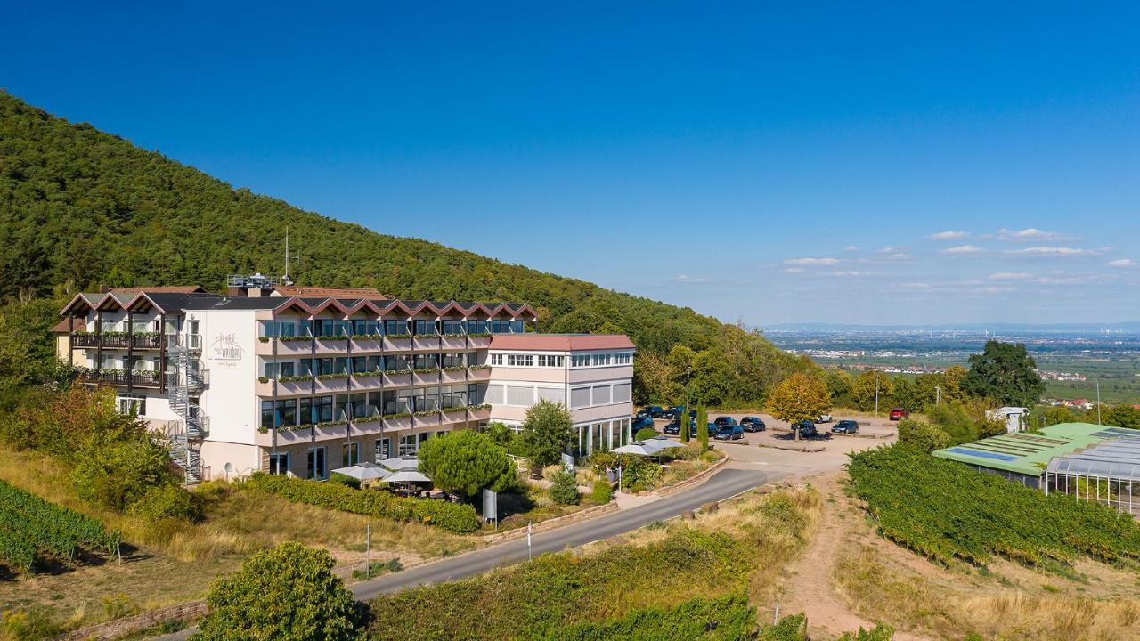 Arens Hotel 327Mnn Санкт-Мартін Екстер'єр фото